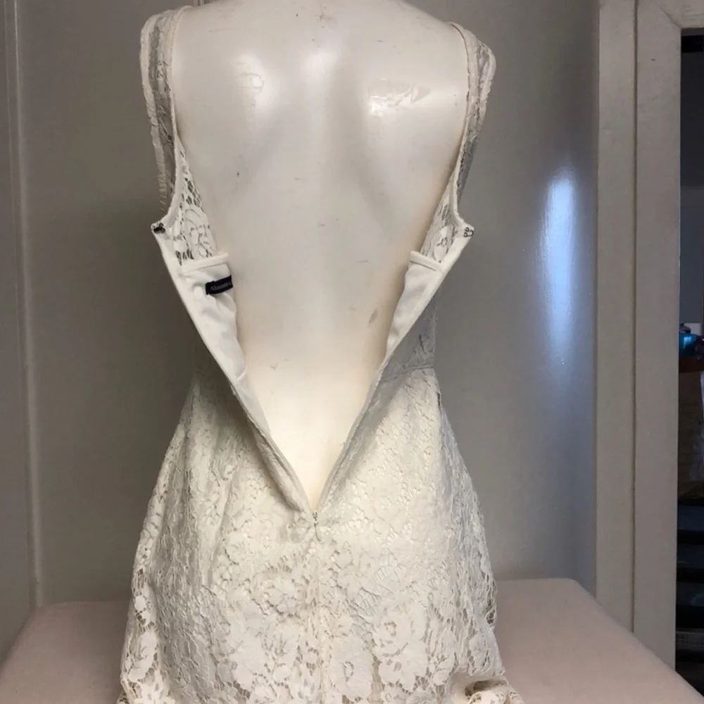 ABERCROMBIE & FITCH Ivory Eyelash Lace Sweetheart Neckline Sleeveless Dress XS - Picture 8 of 13